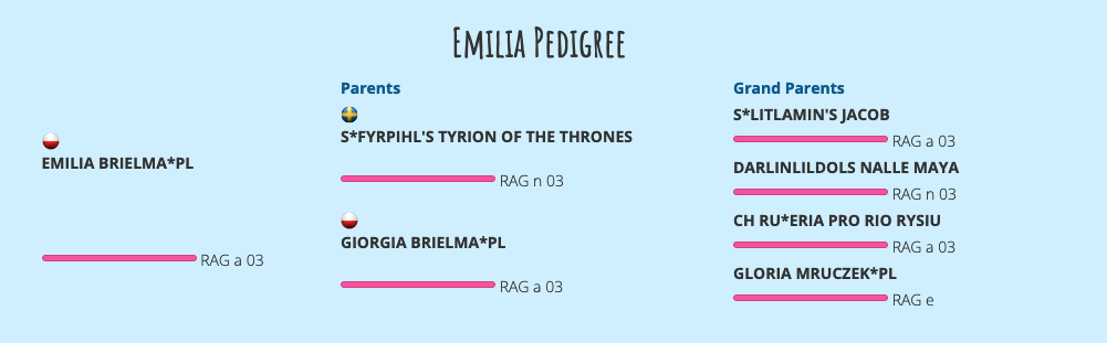 emilia pedigree