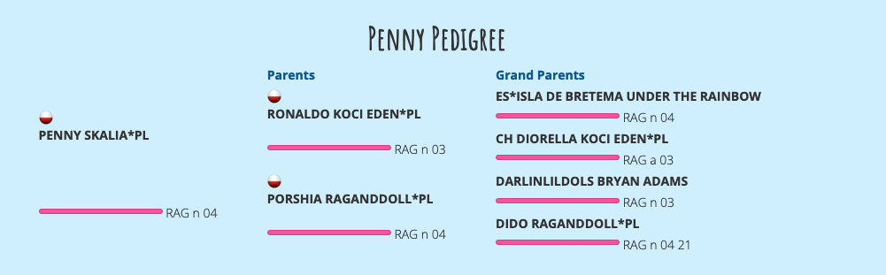 penny pedigree